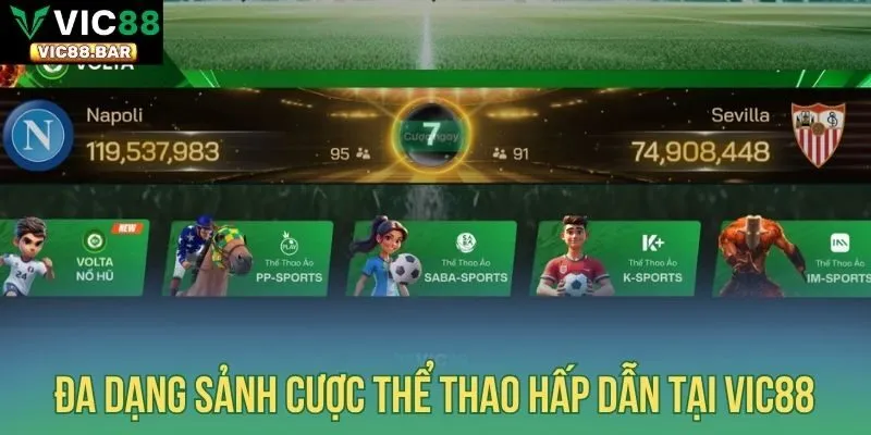 Đa dạng sảnh cược thể thao hấp dẫn tại Vic88